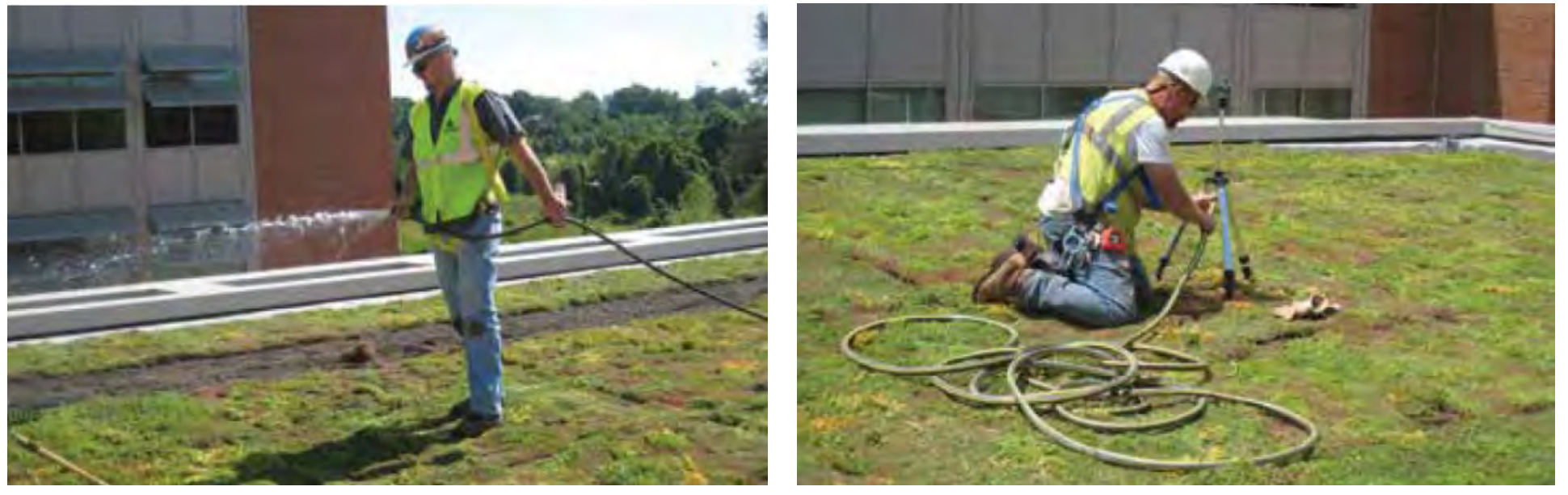 Installation step 8 watering and maintenance